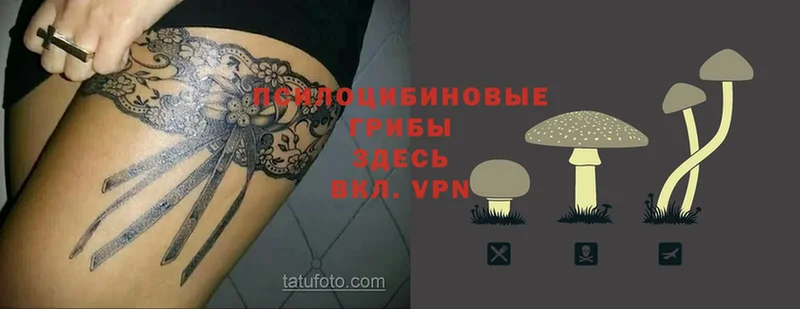 Псилоцибиновые грибы Magic Shrooms  Покровск 